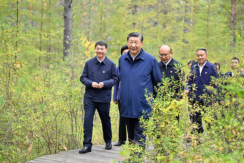 9月6日至8日，中共中央總書記、國(guó)家主席、中央軍委主席習(xí)近平在黑龍江考察。這是6日下午，習(xí)近平在大興安嶺地區(qū)漠河市漠河林場(chǎng)自然林區(qū)考察